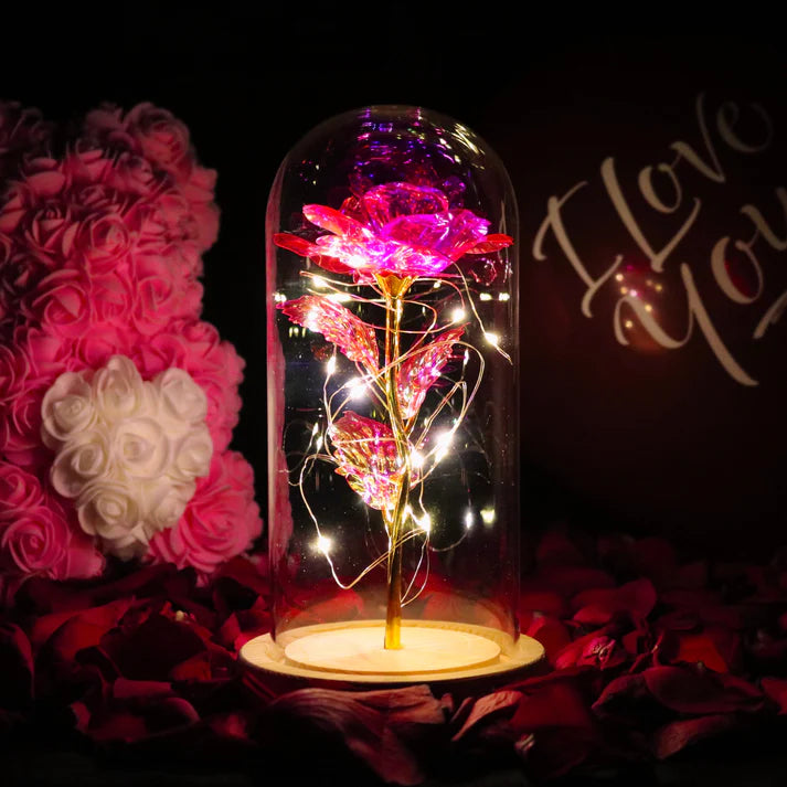 Rose sous Cloche – Élégance Lumineuse et Intemporelle