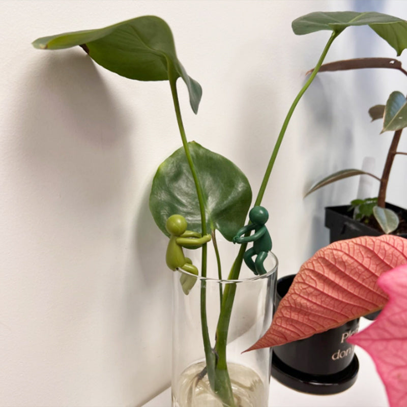 Support boutures décoratif et flexible pour plantes (x3)