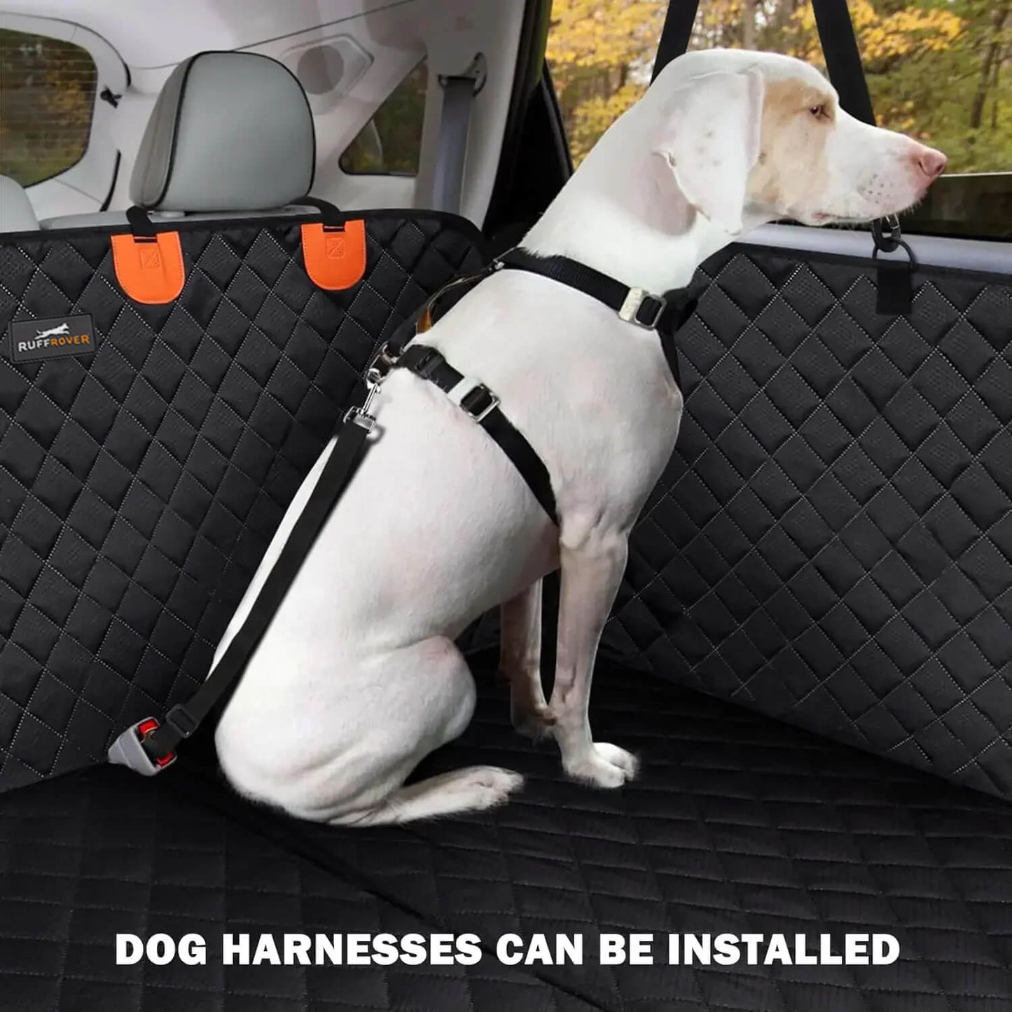 Asiento de Coche para Perros: Seguridad y Protección Óptimas 