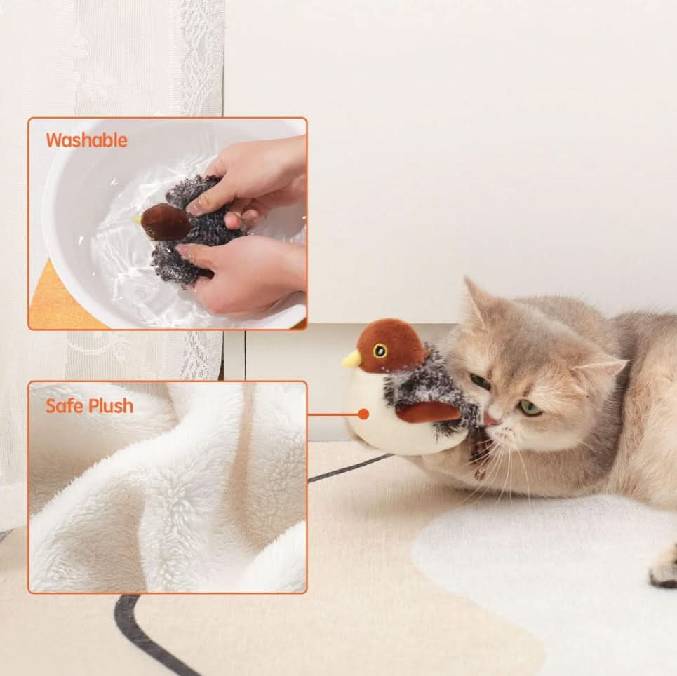 Stimuler din kats naturlige instinkt 